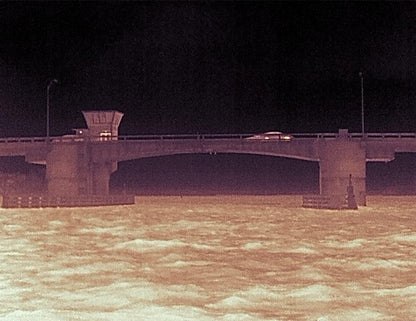 FLIR Ocean Scout Pro